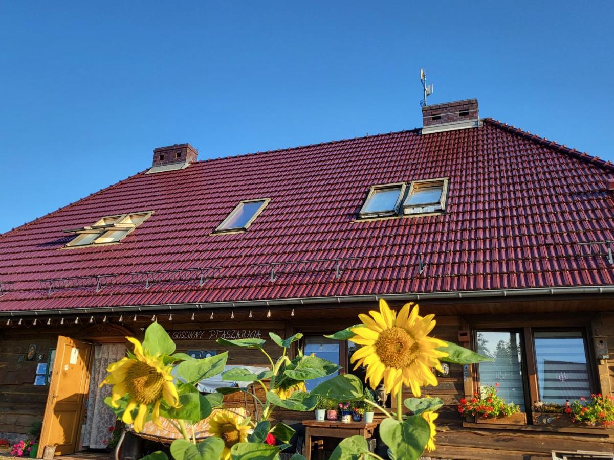 Dom Goscinny Ptaszarnia - Natura-Free Parking Swinoujscie Exterior photo